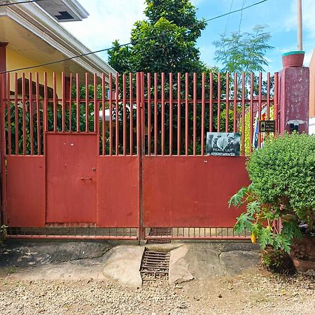 Peace Lily Studio Apartments Panglao Dış mekan fotoğraf