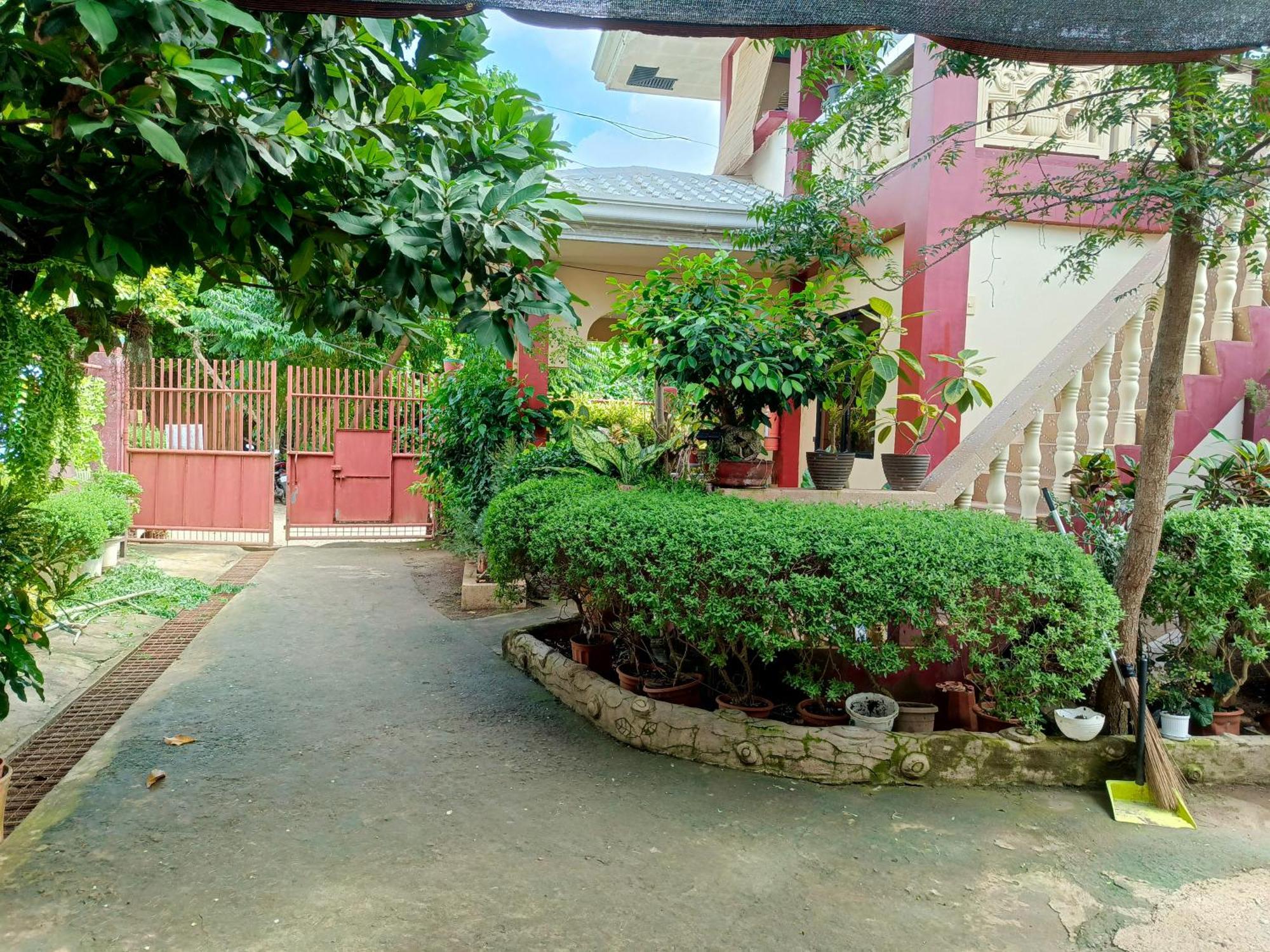 Peace Lily Studio Apartments Panglao Dış mekan fotoğraf