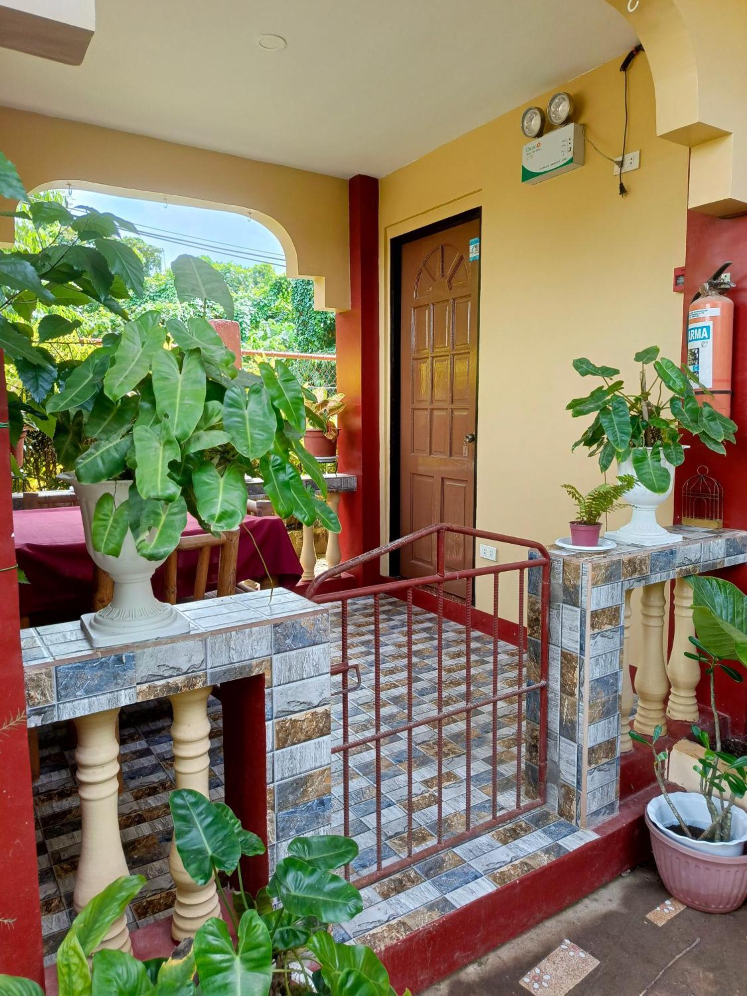 Peace Lily Studio Apartments Panglao Oda fotoğraf