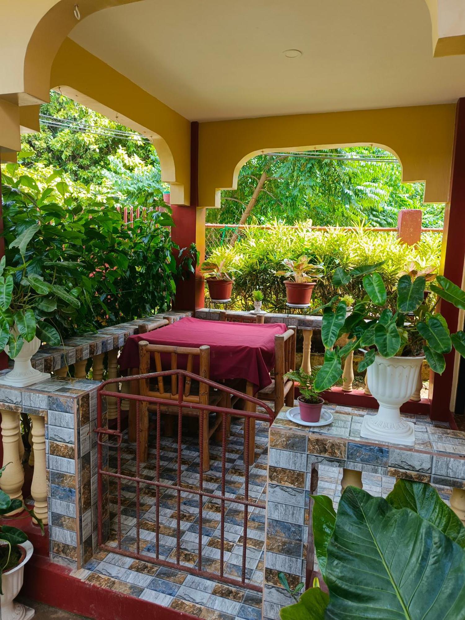 Peace Lily Studio Apartments Panglao Oda fotoğraf