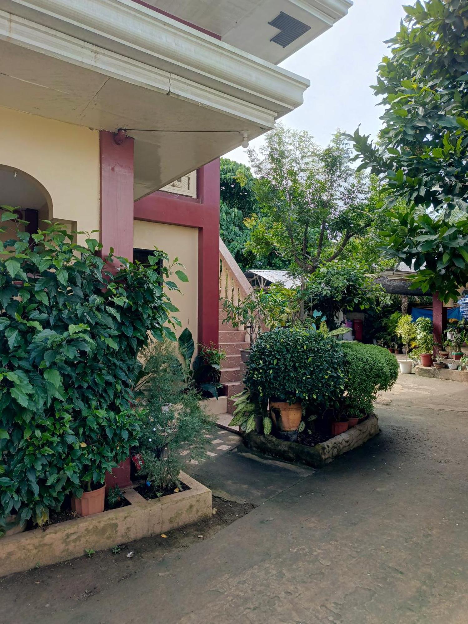 Peace Lily Studio Apartments Panglao Dış mekan fotoğraf